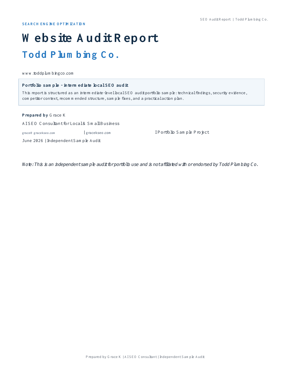 Cover preview of the Todd Plumbing technical SEO audit